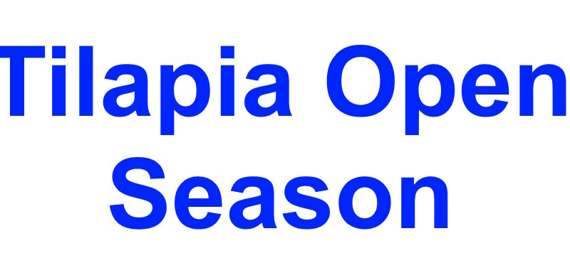 Tilapia Open Season